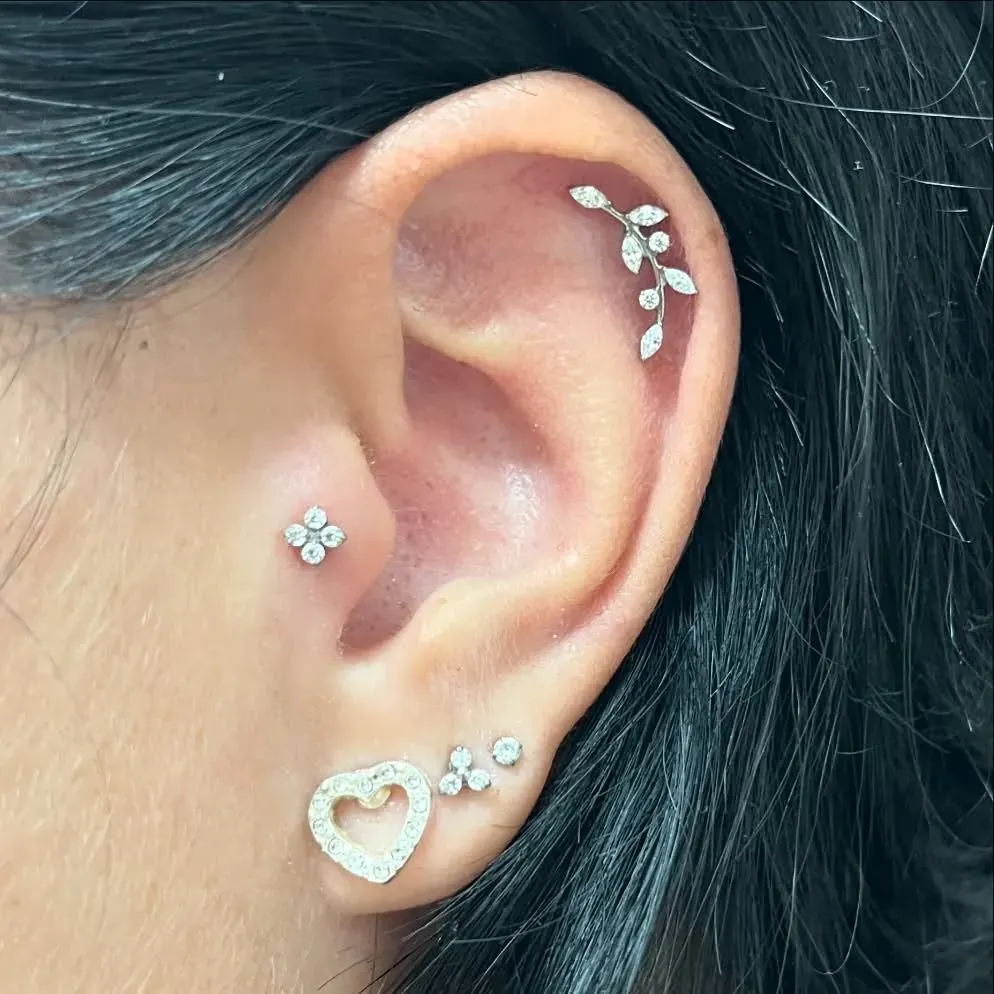 Piercing – ukázka práce Veroo Piercing, Frýdek-Místek